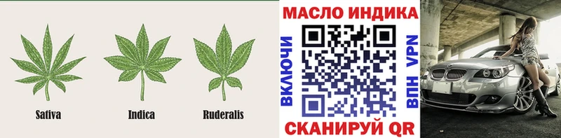магазин    Сальск  Дистиллят ТГК концентрат 