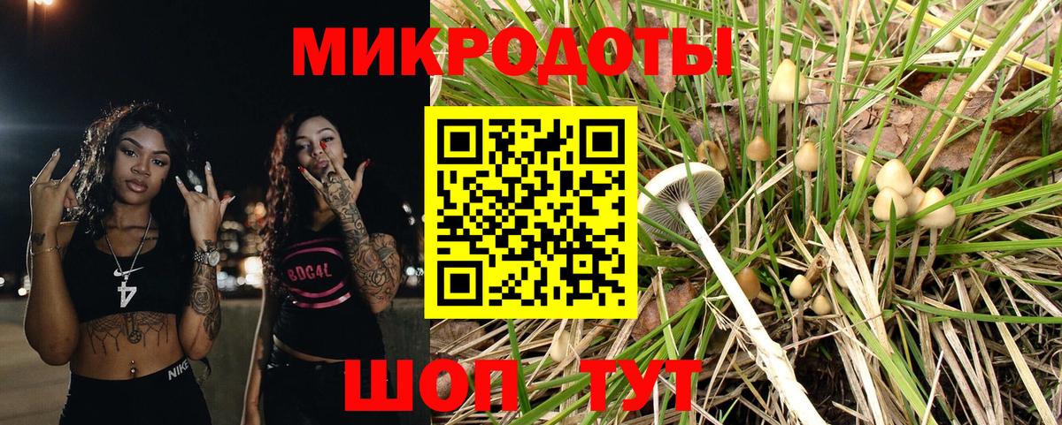 Галлюциногенные грибы GOLDEN TEACHER  Вход с VPN  Сальск 