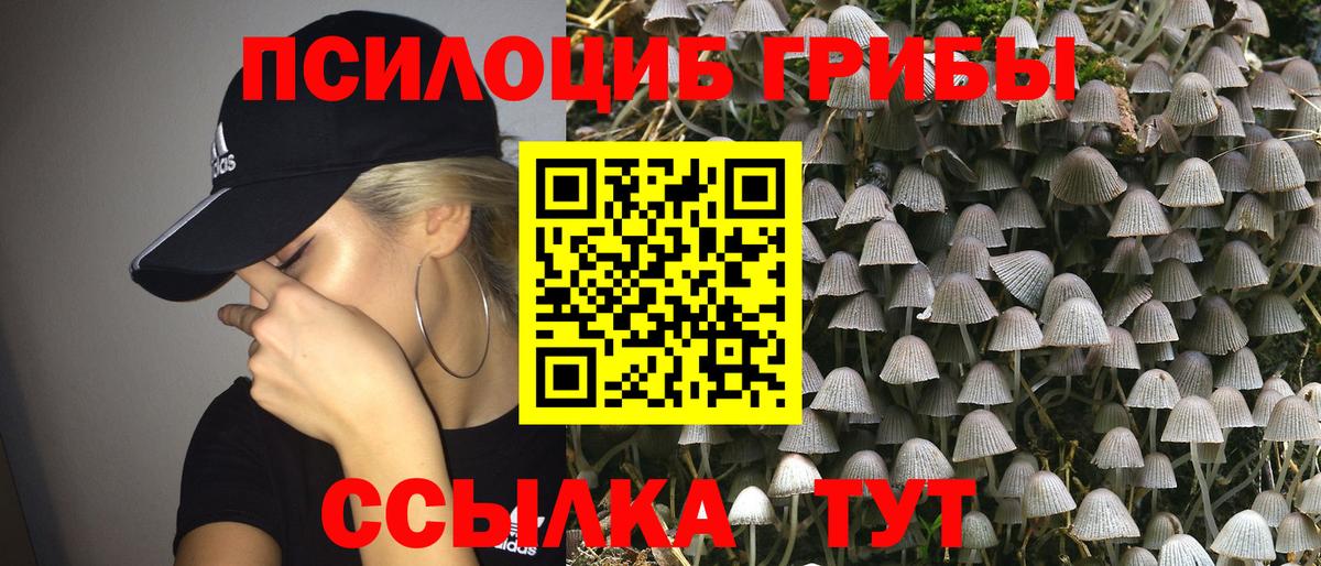 Псилоцибиновые грибы прущие грибы Сальск