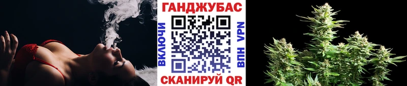 кракен сайт  Сальск  МАРИХУАНА сатива 